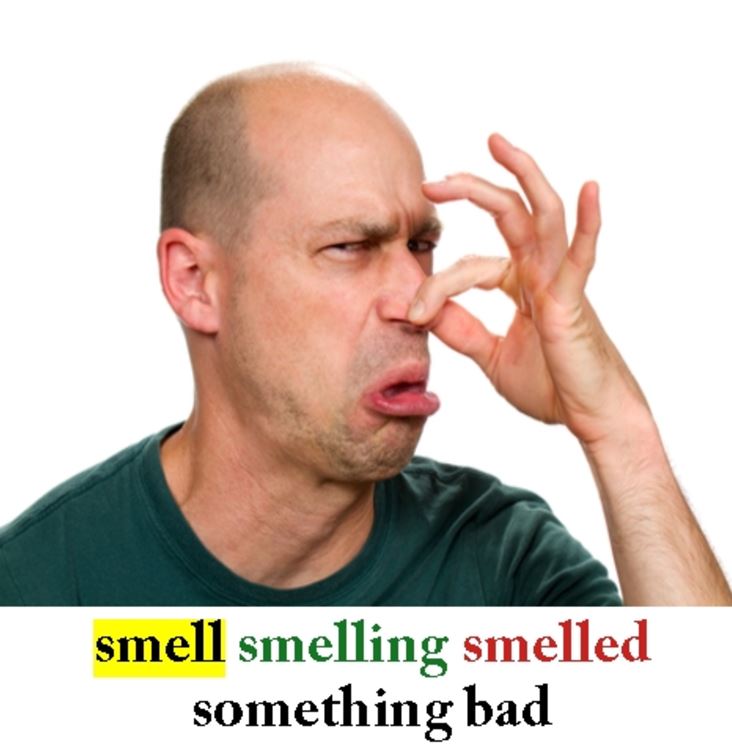 Smell